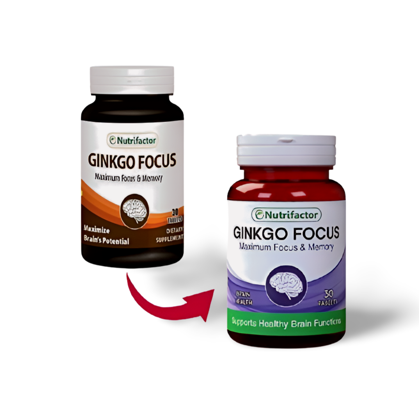 Ginkgo Focus Tablets
