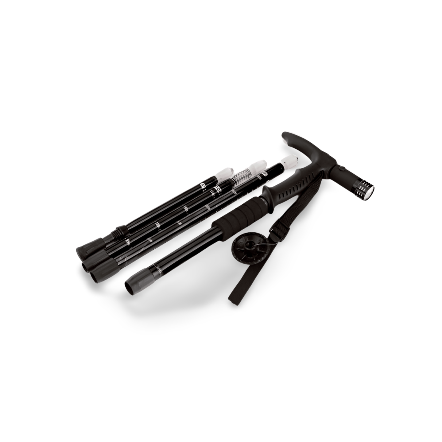 Hiking Stick