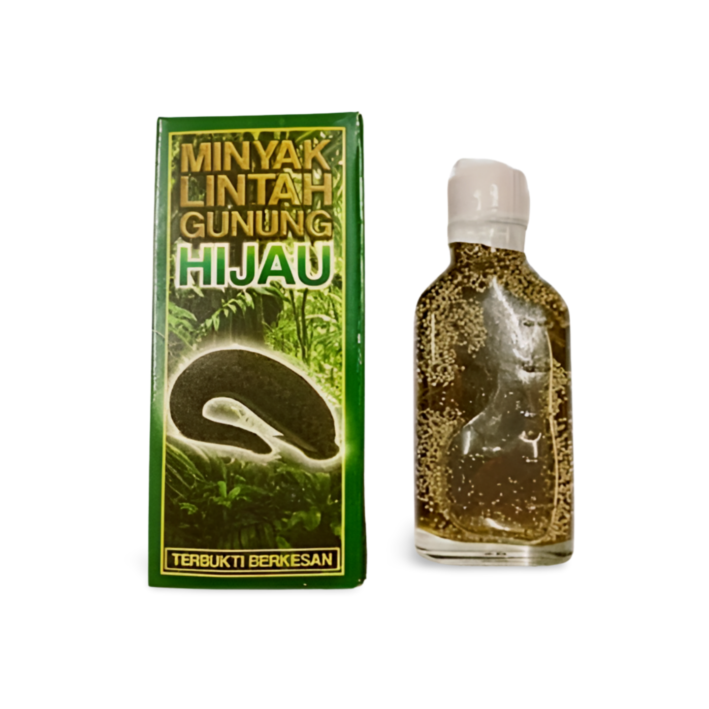Minyak Lintah Oil