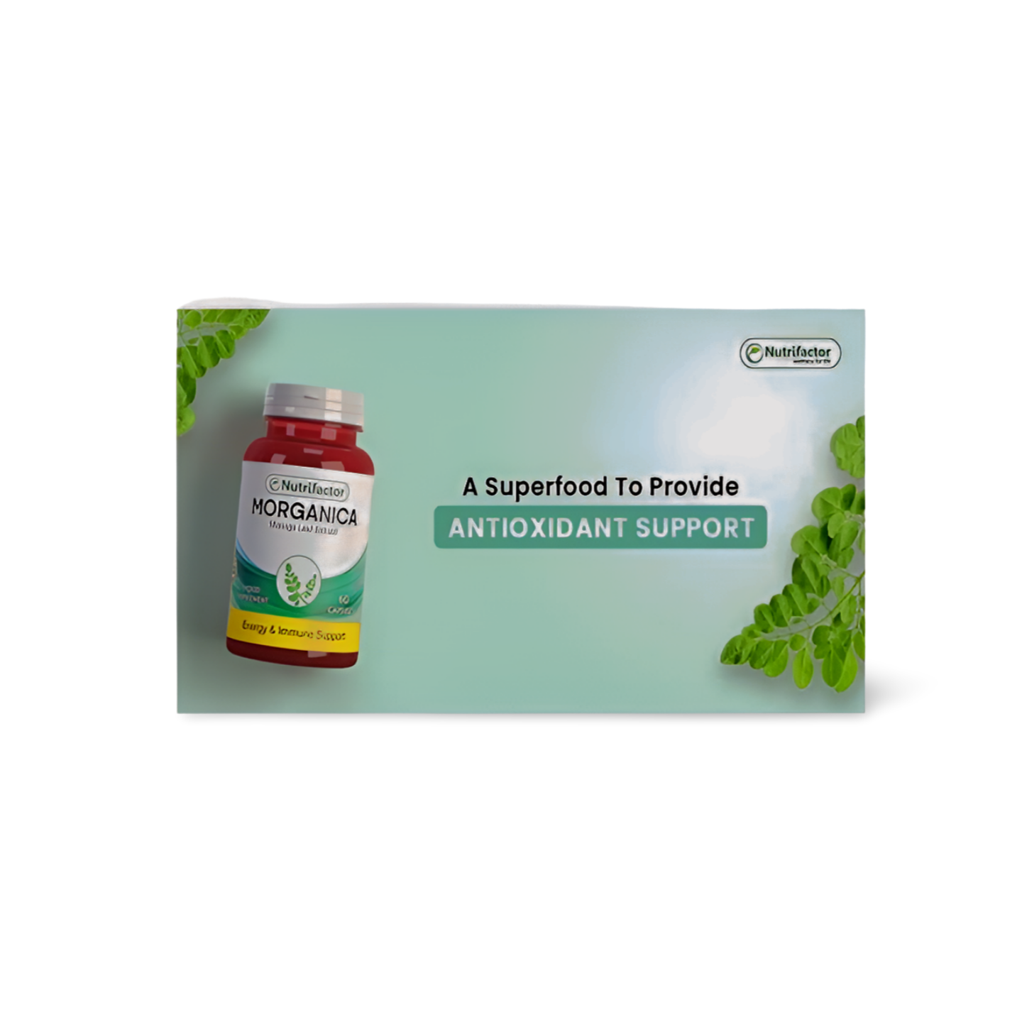 Morganica Capsules