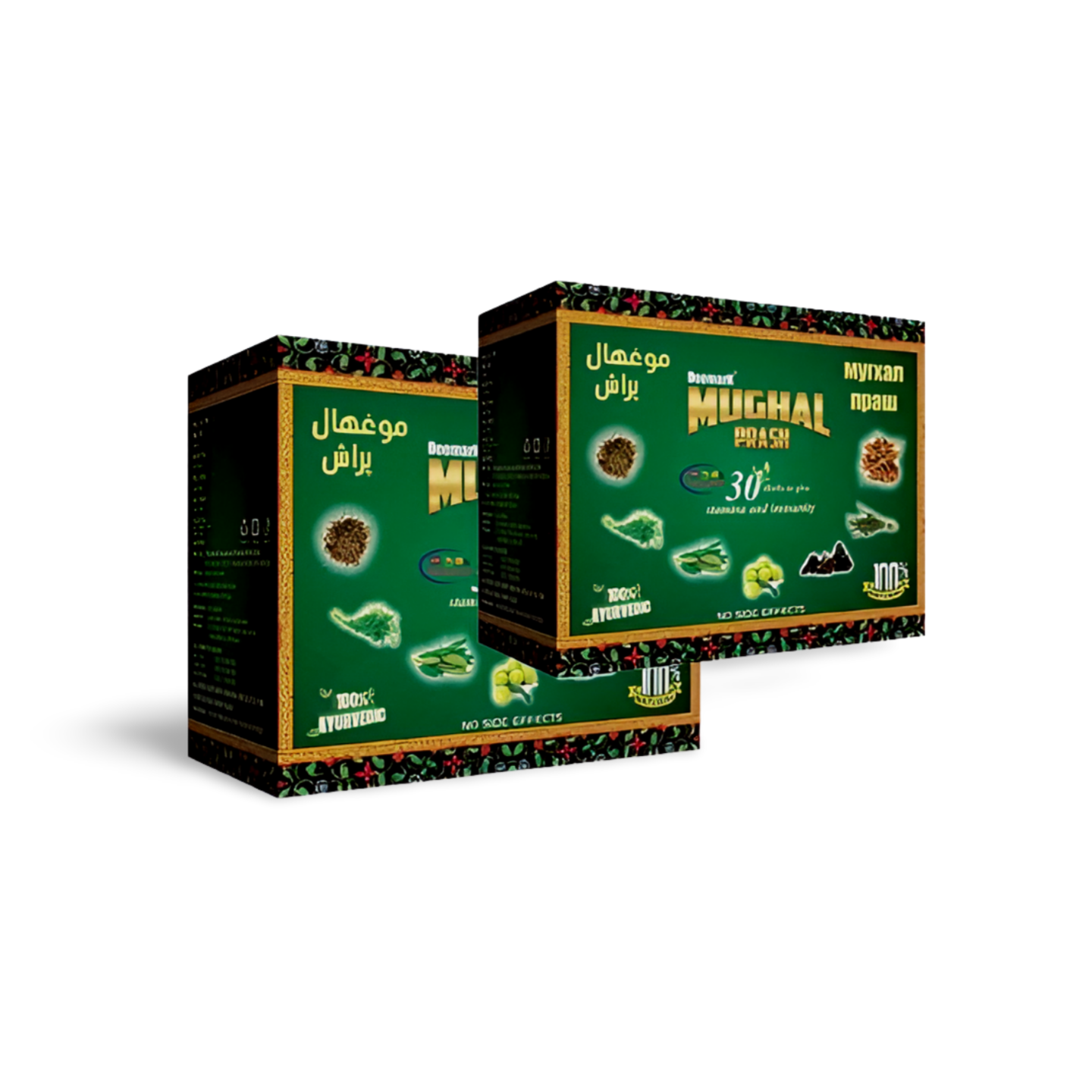 Mughal Prash